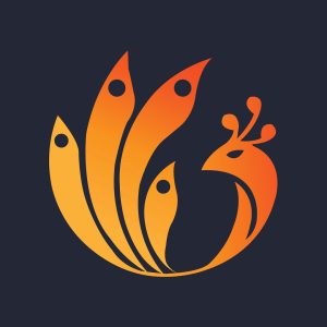 meraky_log